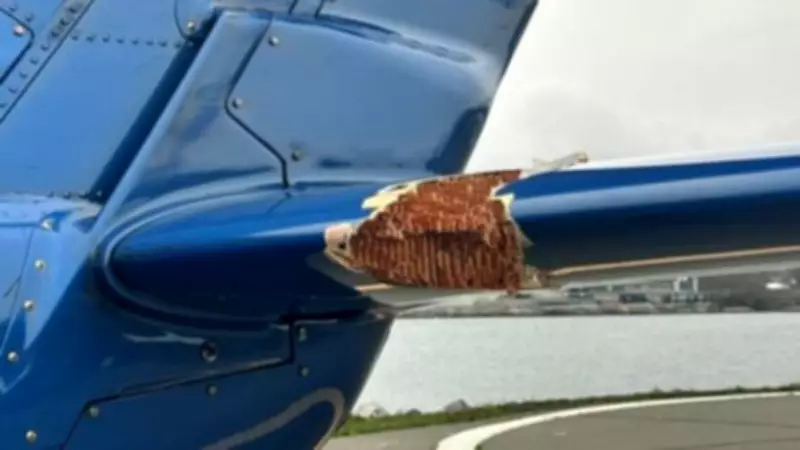 Helijet Chopper Hit by Lightning-Induced Plunge: TSB Report Details