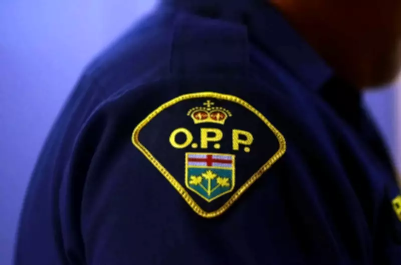 Highway 401 Reopens in Etobicoke After Overnight Crashes Cause Hours-Long Delays
