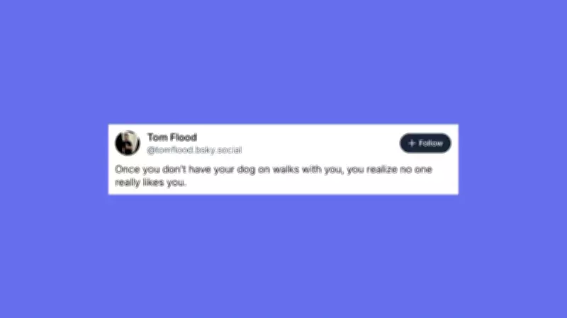 Hilarious Pet Posts to Brighten Your Week: Dogs, Cats, and More