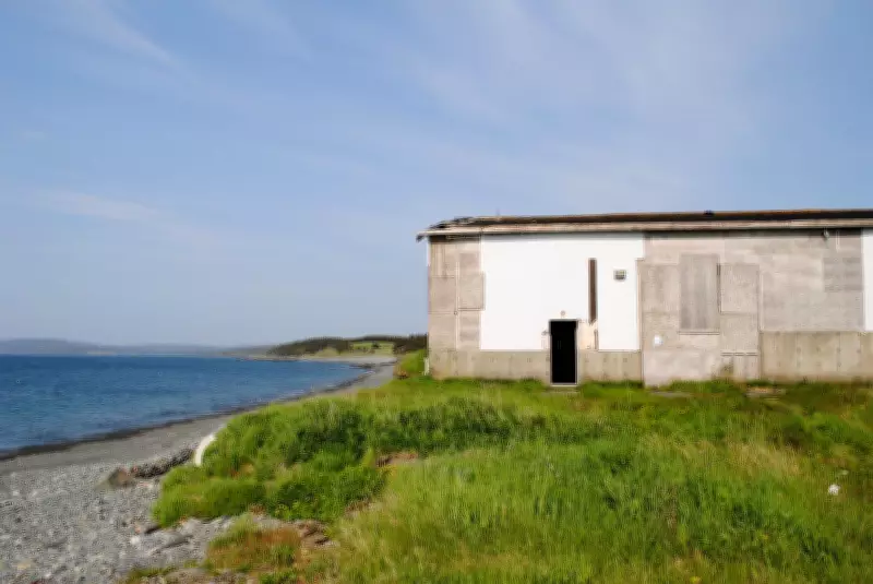 Hope in Newfoundland Town as Government Targets Rotting Fish Sauce Plant