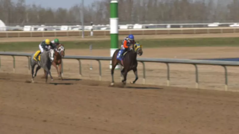 Horse Racing Returns to Century Mile Racetrack for 2026 Season