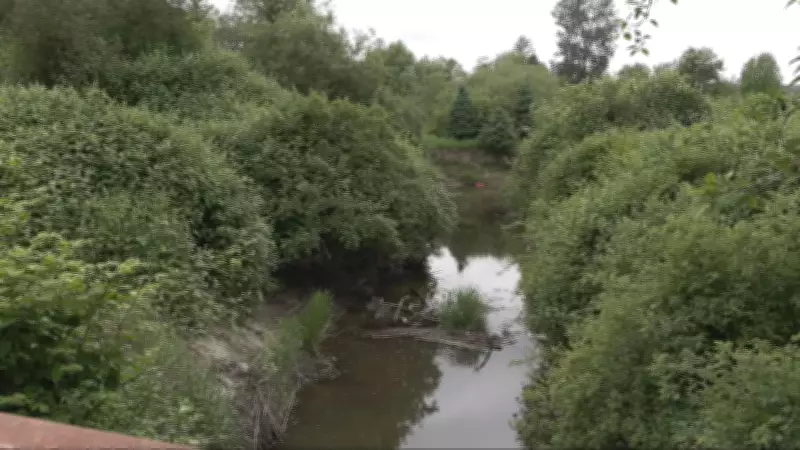 Human remains found near Nicomekl River in Langley park