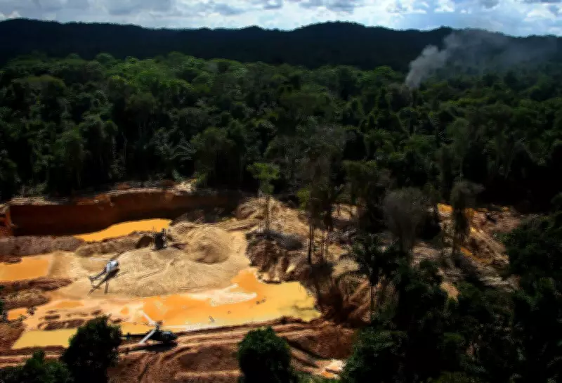 Indigenous Amazon Groups Urge UN to Curb Crime, Not Militarize Territories