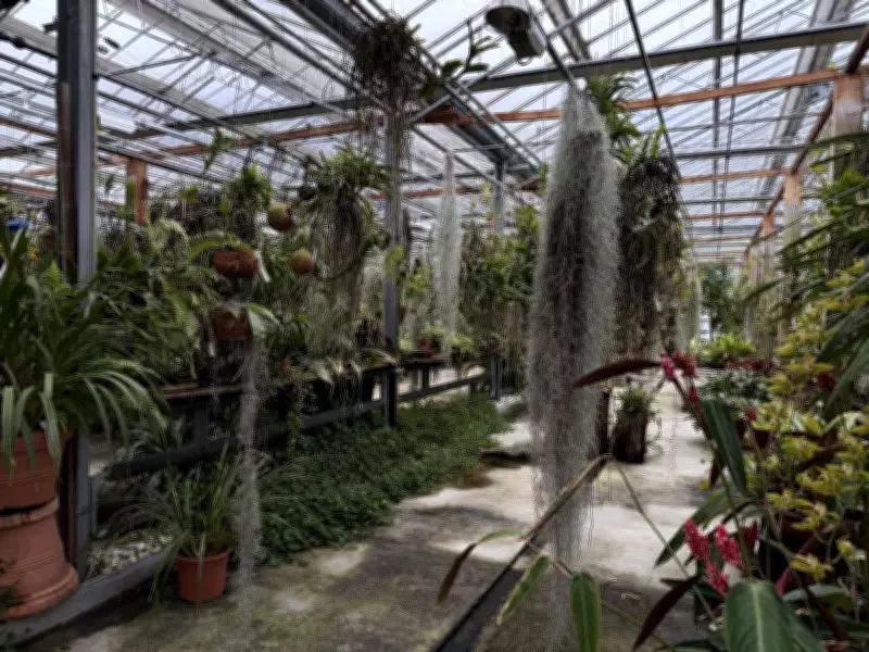Inside Guerlain's Secret Orchidarium Near Geneva: Botanical Magic Unveiled