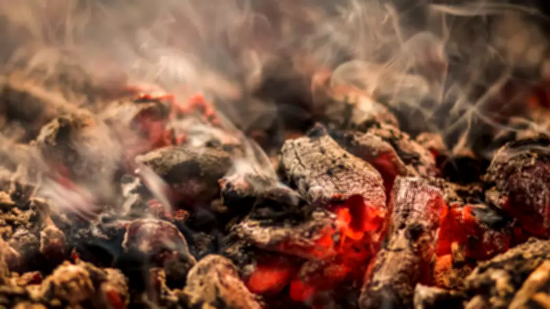 Italian Police: Crime Gang Made BBQ Briquettes from Toxic Ashes