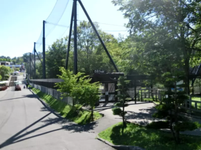 Japanese Man Arrested After Wife Incinerated at Zoo