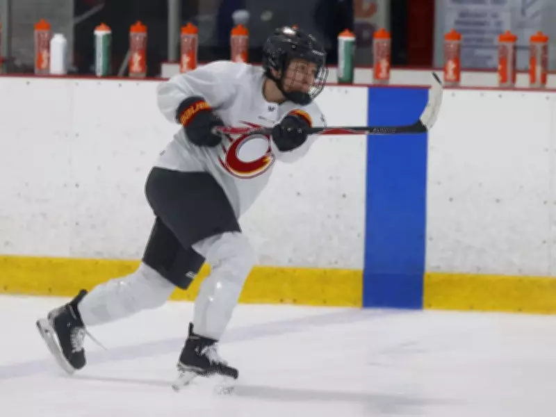 Jocelyne Larocque Leads Ottawa Charge in PWHL Playoffs with Veteran Skill