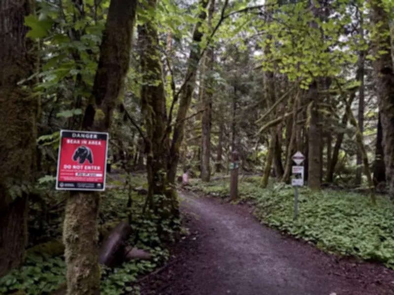Jogger Attacked by Black Bear on Squamish Trail, Officers Warn Public