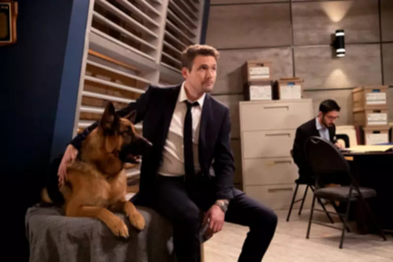 John Reardon Returns to 'Hudson & Rex' as Fans Celebrate