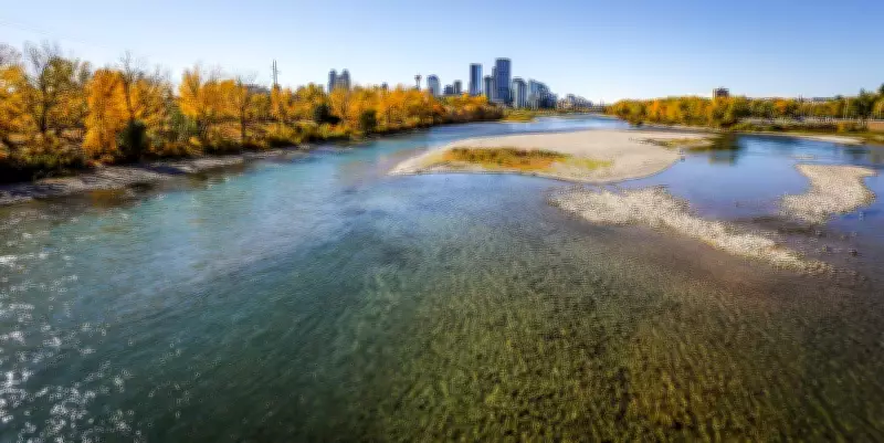 Kayakers Rescue Man from Bow River Before Fire Crews Arrive in Calgary