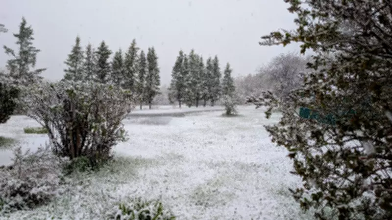 Late Spring Snowfall Covers Cape Breton in Unusual May Scene