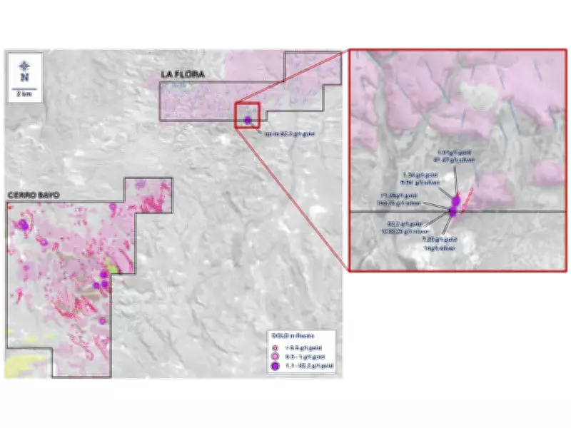 Latin Metals Receives US$250,000 Payment from Daura Gold, Provides Drilling Update