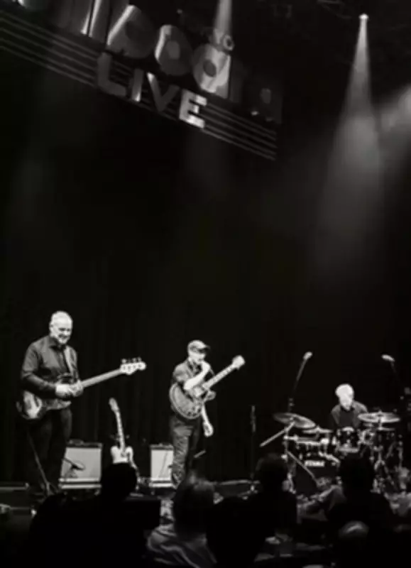 Legendary drummer Bill Bruford returns to Quebec with Peter Roth Trio