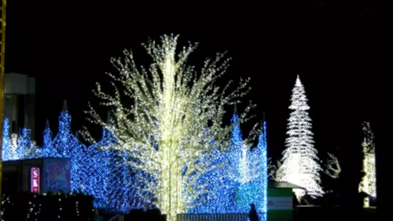 Lights of Wonder Cancelled for 2026 Due to Rising Costs, Future Uncertain