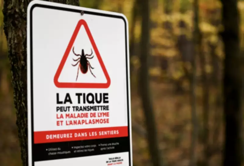 Lyme Disease Cases in Montreal Reach 20-Year High