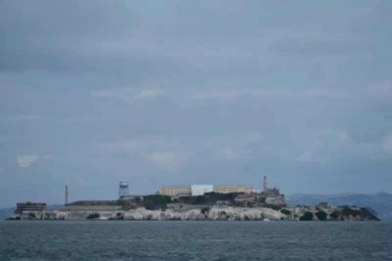 Male coyote swam over 3 km to Alcatraz Island, surprising biologists