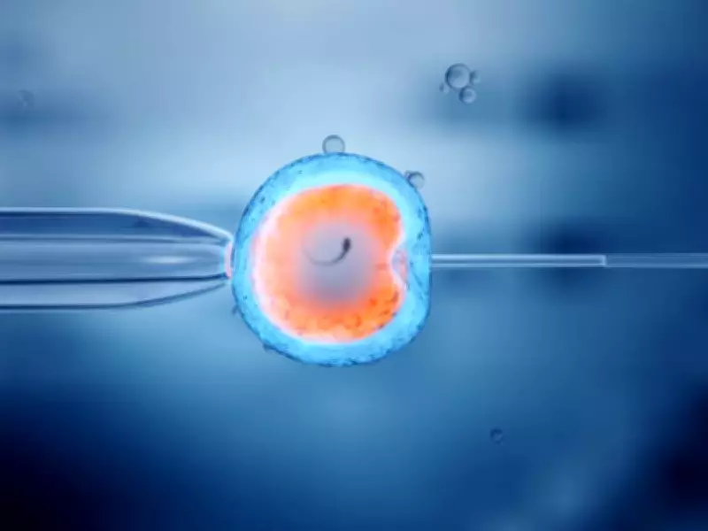 Male Infertility Linked to Higher Colon and Thyroid Cancer Risk: Study