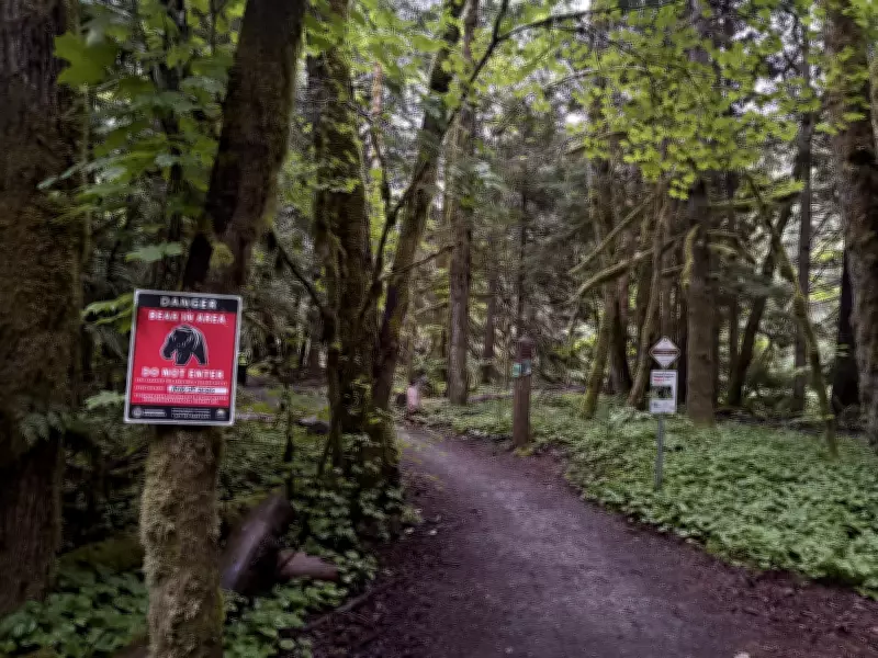 Man Injured in Black Bear Attack Near Squamish, B.C.