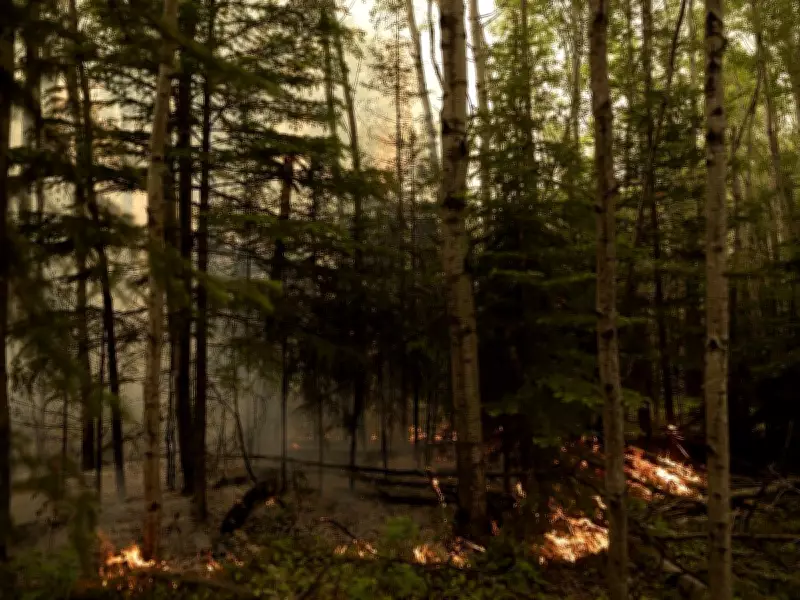Man pleads guilty to arson in Weyakwin wildfire, sentencing set for May 7