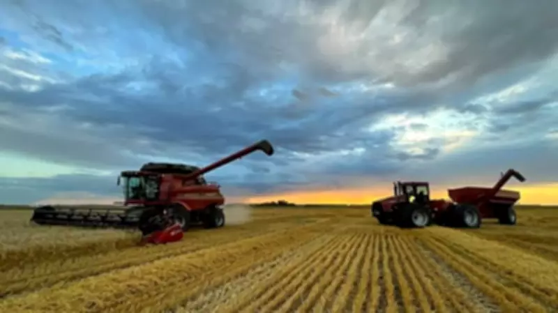 Manitoba Falls Behind on Spring Seeding Progress in 2026