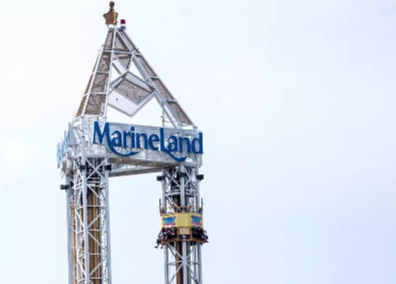 Marineland bears moving to Colorado sanctuary