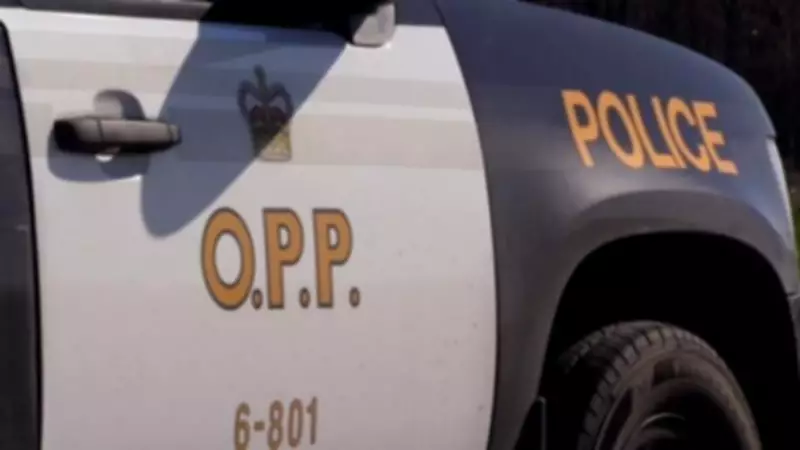 Markdale Driver Charged in Arthur Collision That Killed Dog, Injured Pedestrian