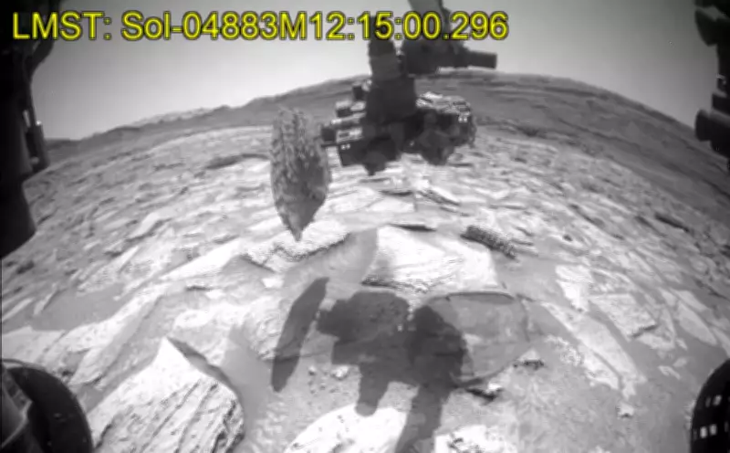 Martian Rock Puts University of Guelph Instrument at Risk