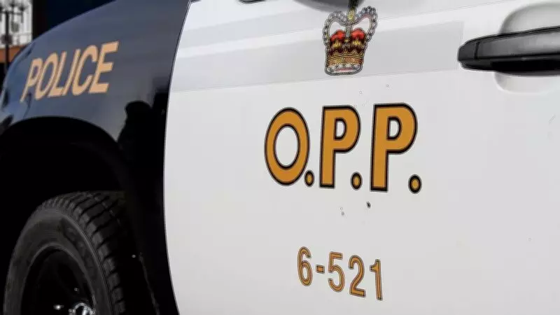 Masked Suspects Sought in Essex Business Break-In