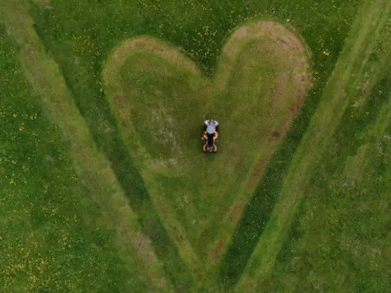 Massive Heart in Field, AI School Concerns, RTO Staggering