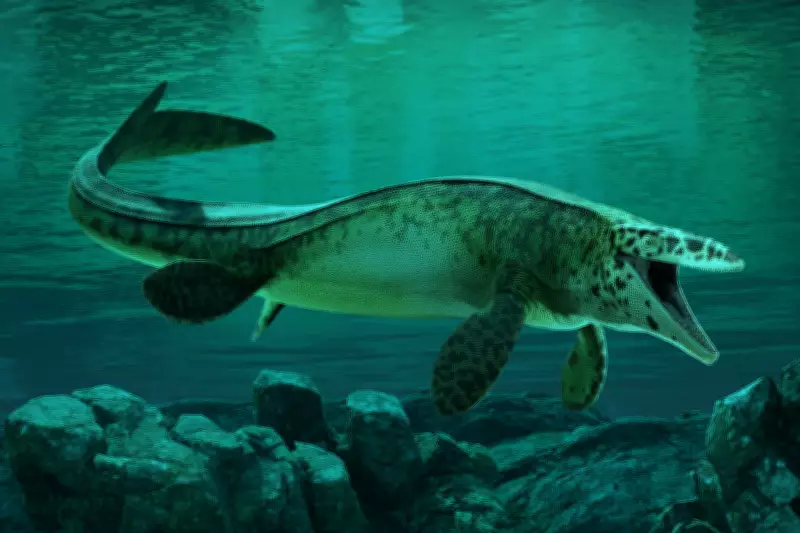 Massive marine predator crowned T. rex of the ocean and ‘a true terror of its time’