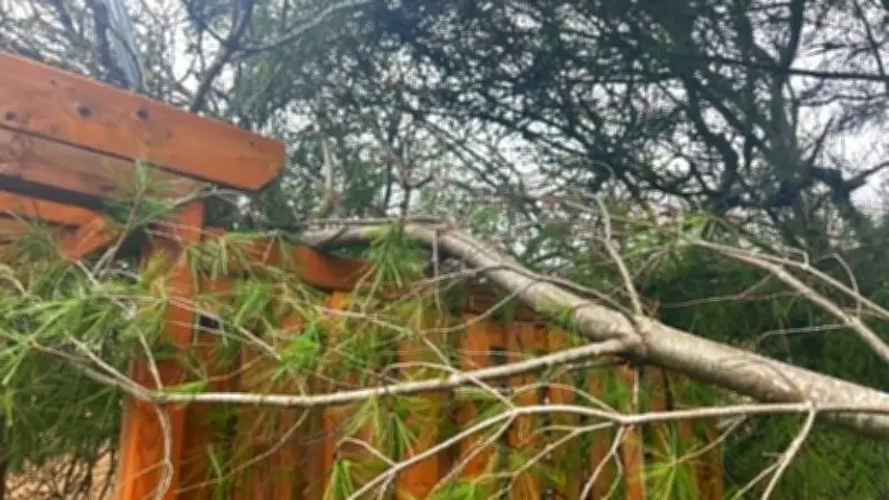 Mattawa Storm Damage Caused by Downburst, Officials Confirm