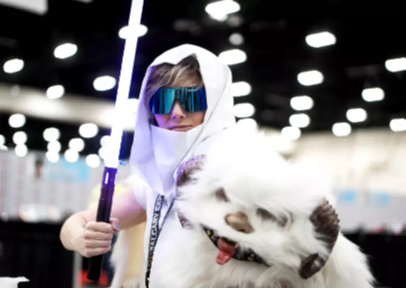 May the 4th: Why Star Wars Films and Shows Endure with Fans