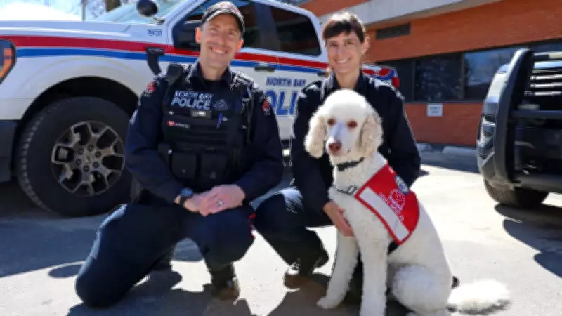 Meet Moka: Nipissing Victim Services' Newest Support Dog