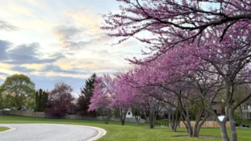 Mixed Skies and Warmer Temperatures Ahead This Weekend in London