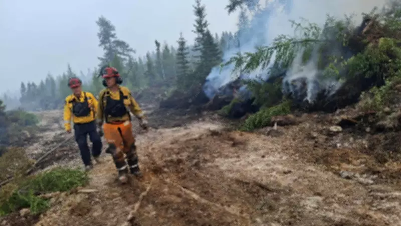 Moncton Fire Department Gears Up for Fire Season After Record 2025