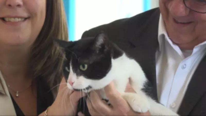 Montreal Opens New One-Stop Animal Shelter for Homeless Pets