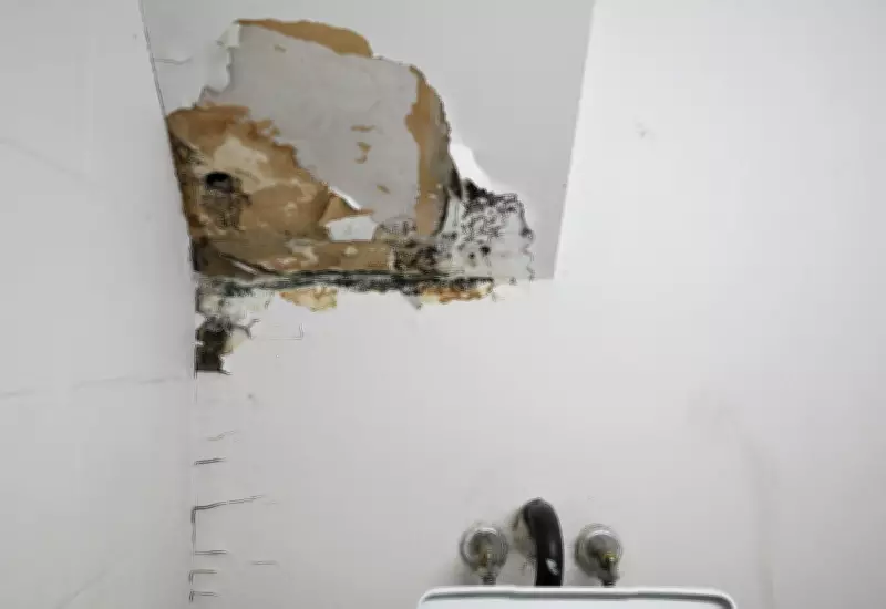 Montreal Social Housing Crisis: Mold and Decay Amid New Funding