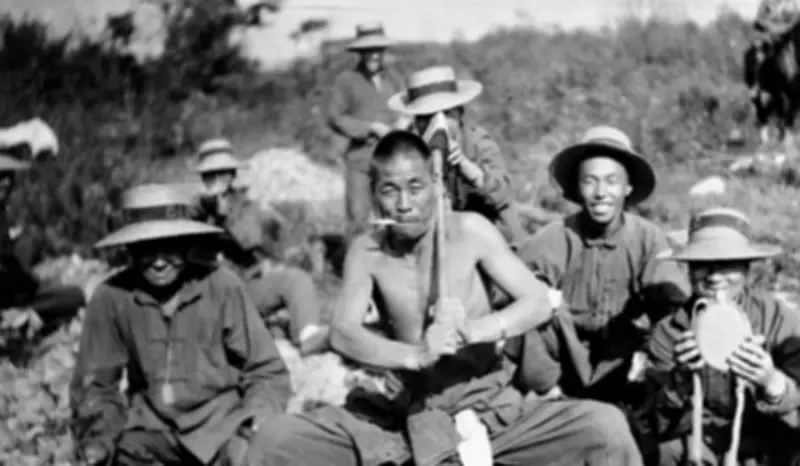 Montreal's Historic Asian Immigration: Why It's Key to the City's Identity