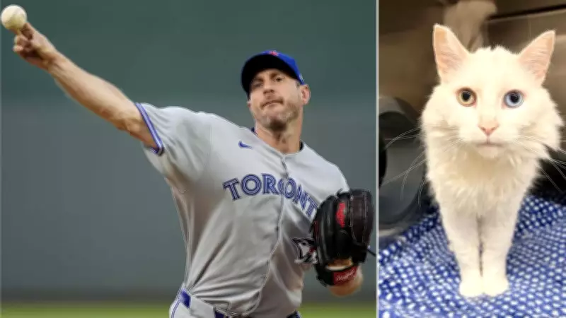 Moose Jaw Humane Society names cat after Blue Jays pitcher Max Scherzer