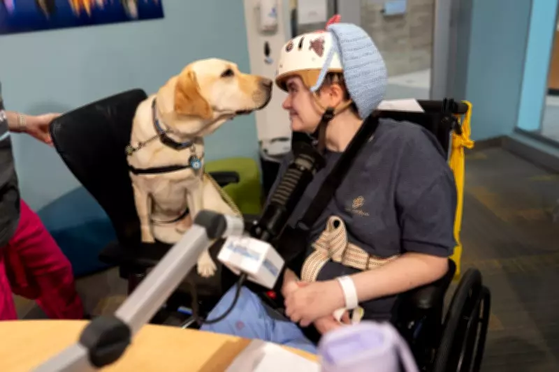 More Children's Hospitals Use Therapy Dogs to Help Kids Heal