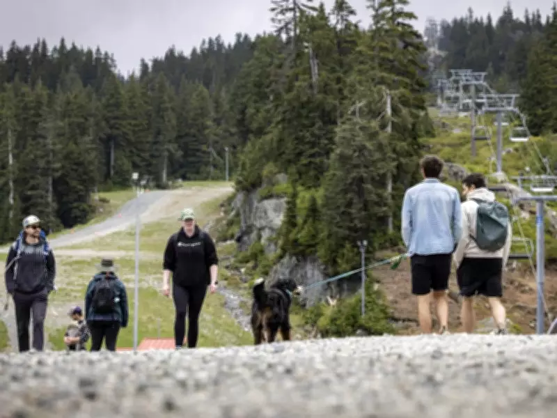 Mount Seymour Plans Major Expansion with Gondola, Skywalk, Pending Parks Approval