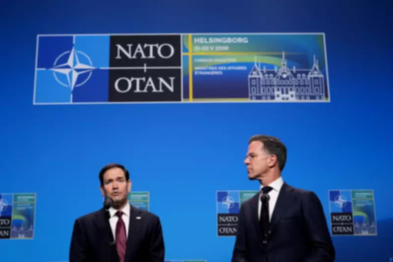 NATO Allies Confused by Trump's Sudden Shift on US Troop Deployments in Europe