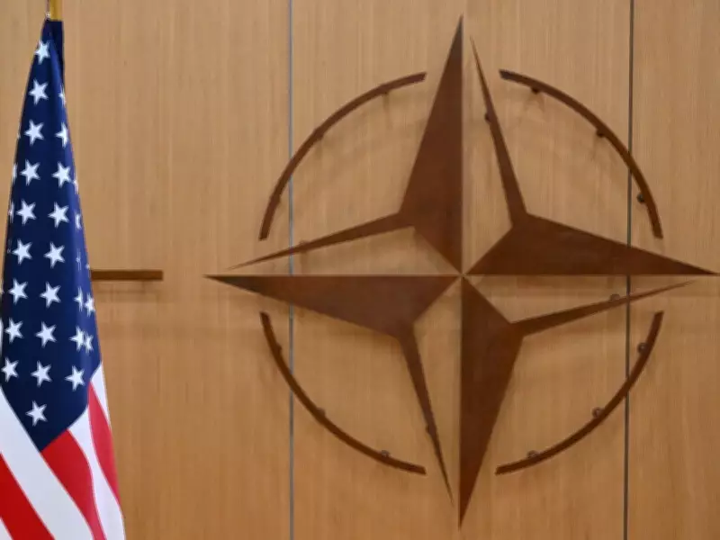 NATO Seeks Details on U.S. Plan to Withdraw 5,000 Troops from Germany