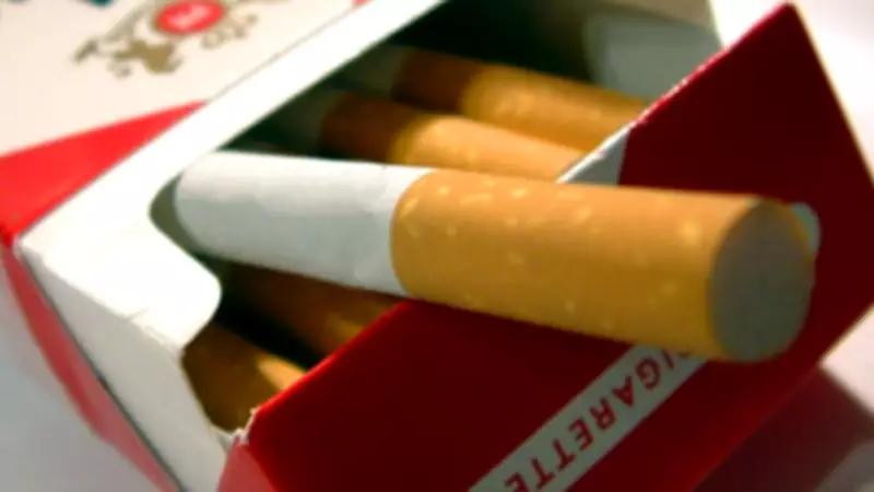 N.B. Man, Woman Arrested After 280,000 Unstamped Cigarettes Seized