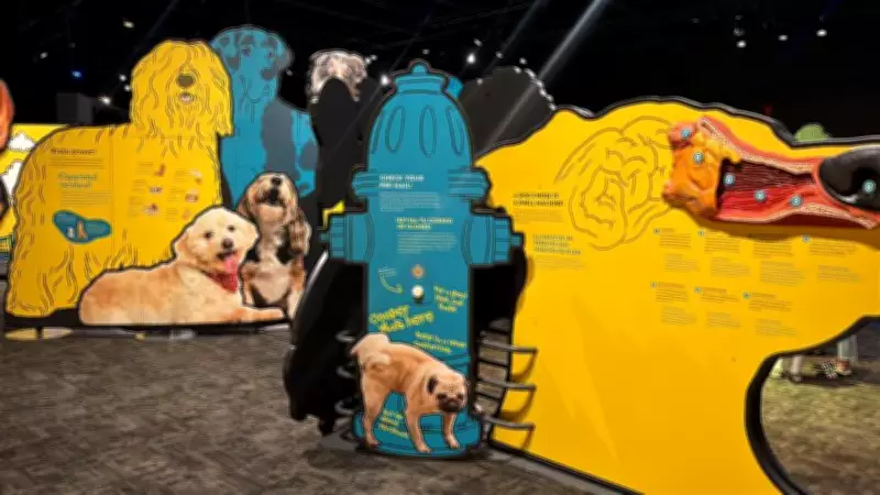 New Exhibit at Telus World of Science Explores How Dogs Think and Feel