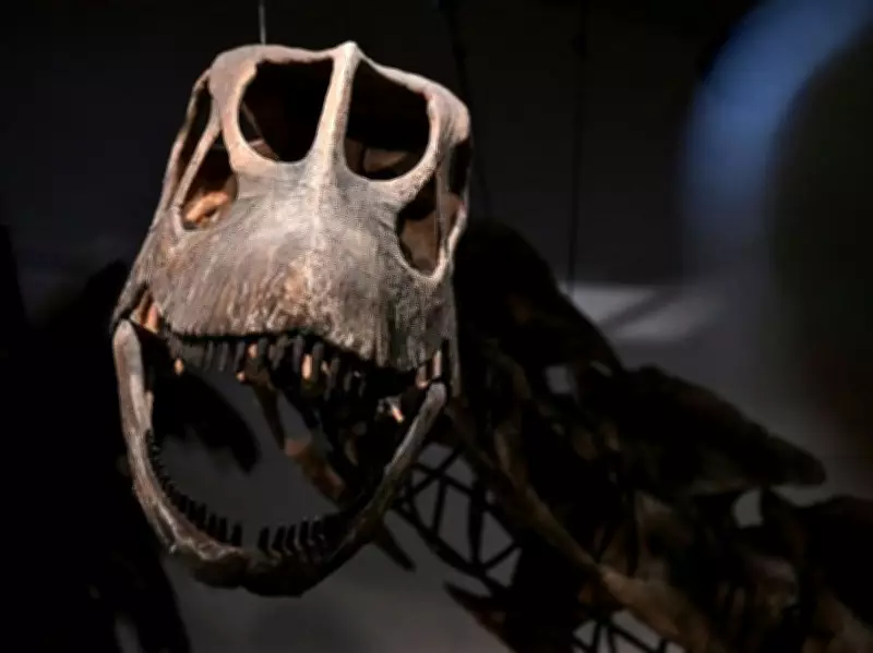 New Giant Dinosaur Species Identified in Thailand After Decade-Long Dig