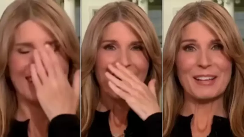Nicolle Wallace Laughs at Trump Cabinet Members' Flattery