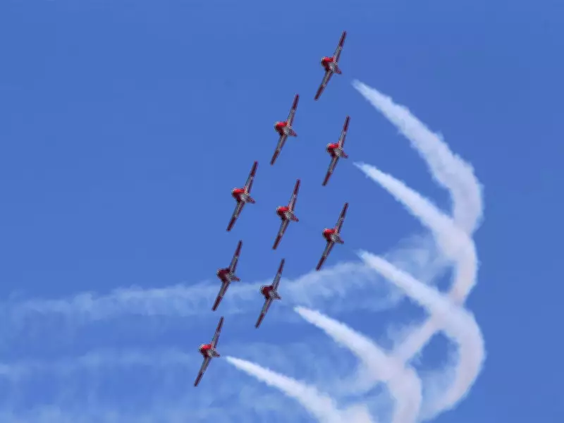 Nine Reasons Snowbirds Suspension Distresses Canadians