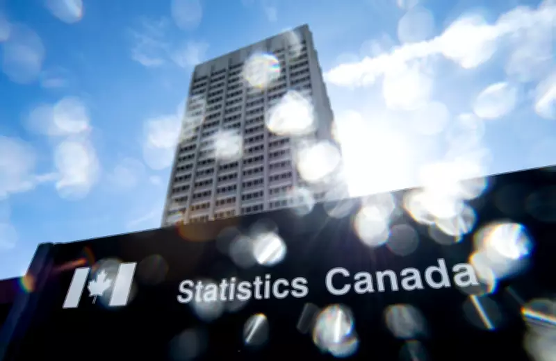 No Reason to Panic: What to Do If You Haven't Received Census Mail