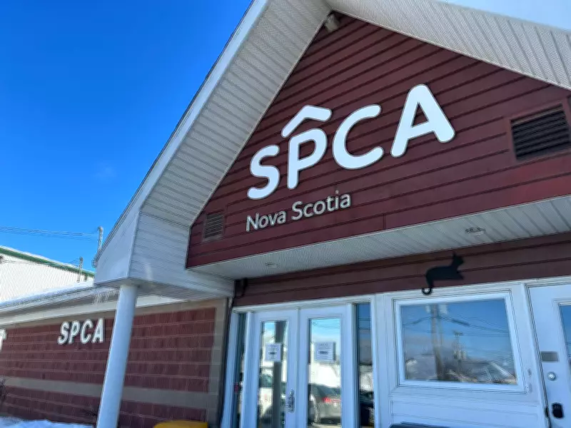 Nova Scotia SPCA Teams Up with App to Simplify Pet Adoptions